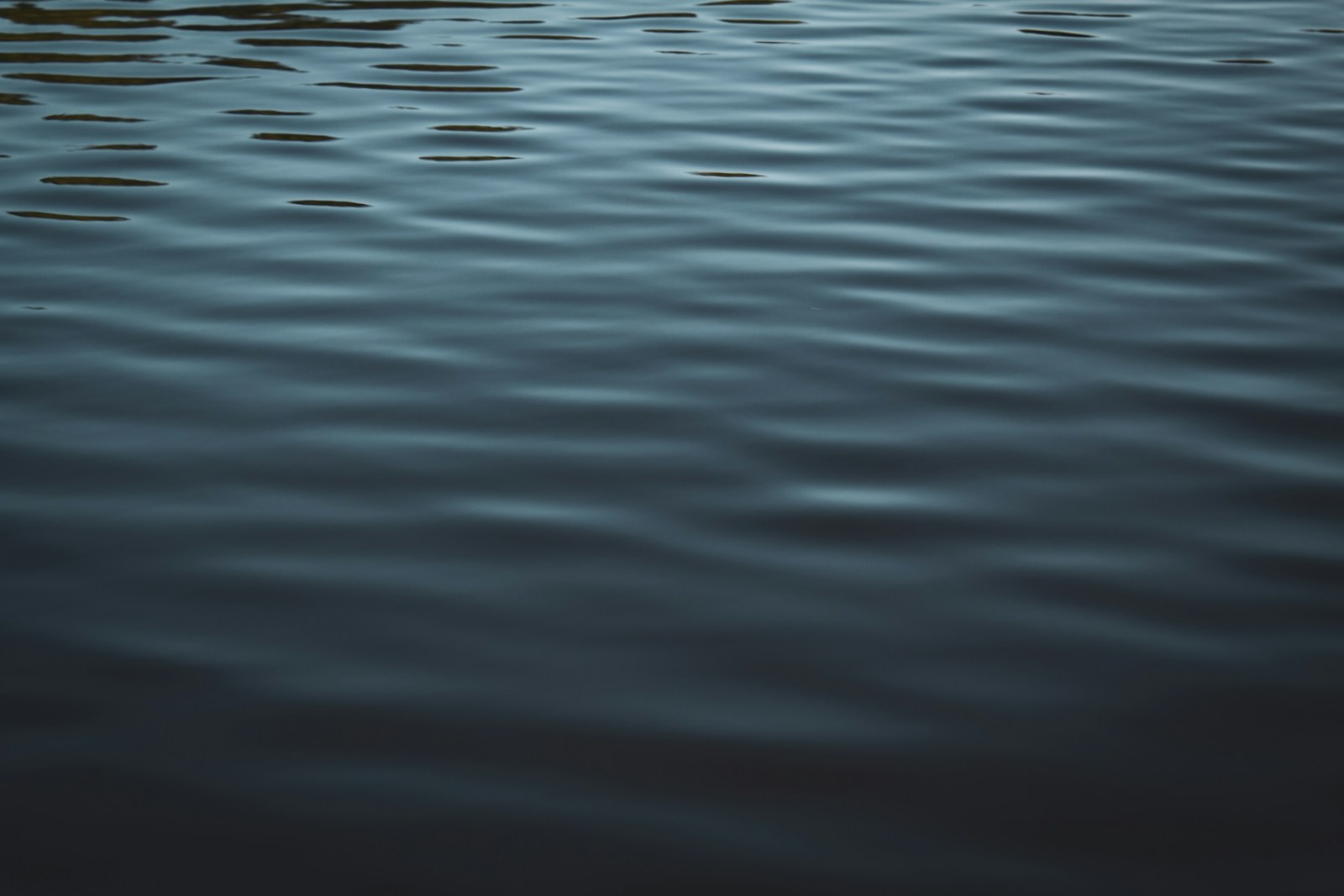 A calm, still body of water