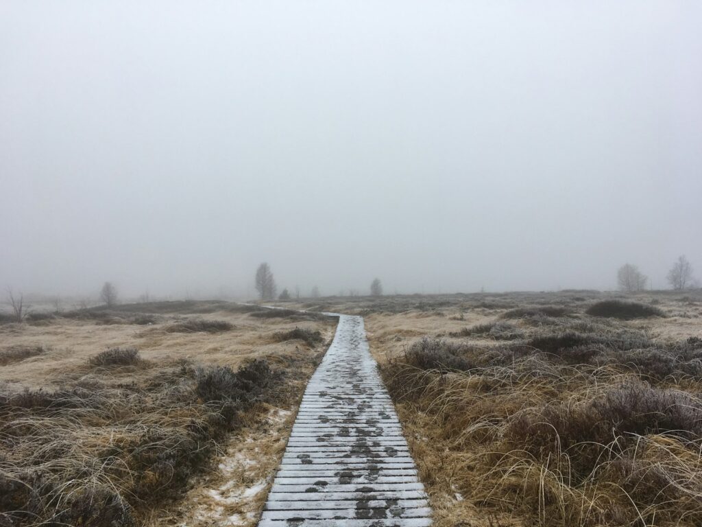 A pathway leading into soft fog
